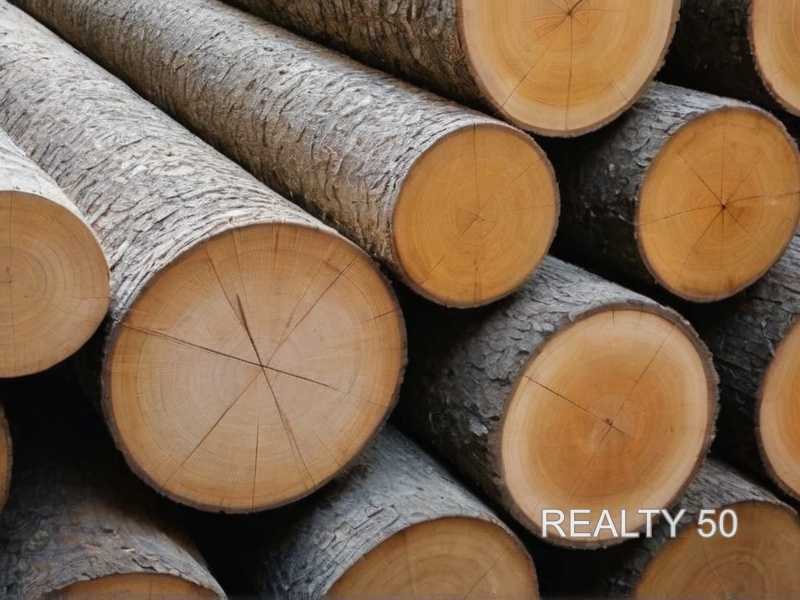 Влияние натуральных масел красного дерева на устойчивость к влаге