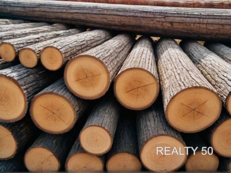 Почему тик устойчив к влаге и перепадам температуры
