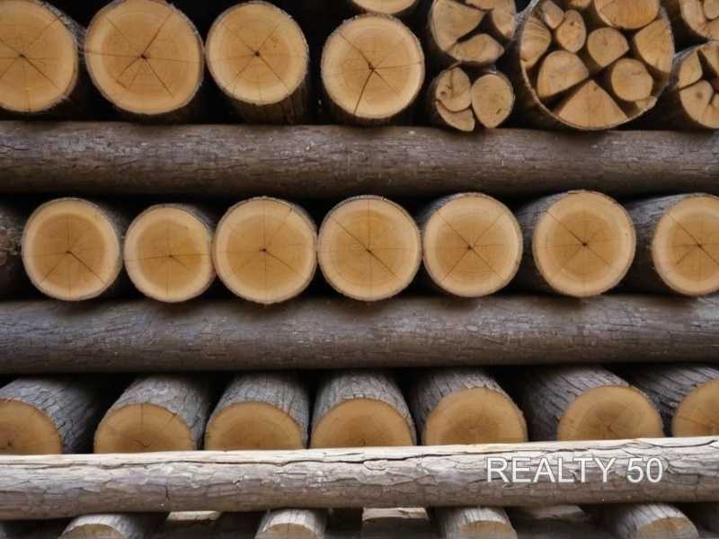 Холодный и влажный климат