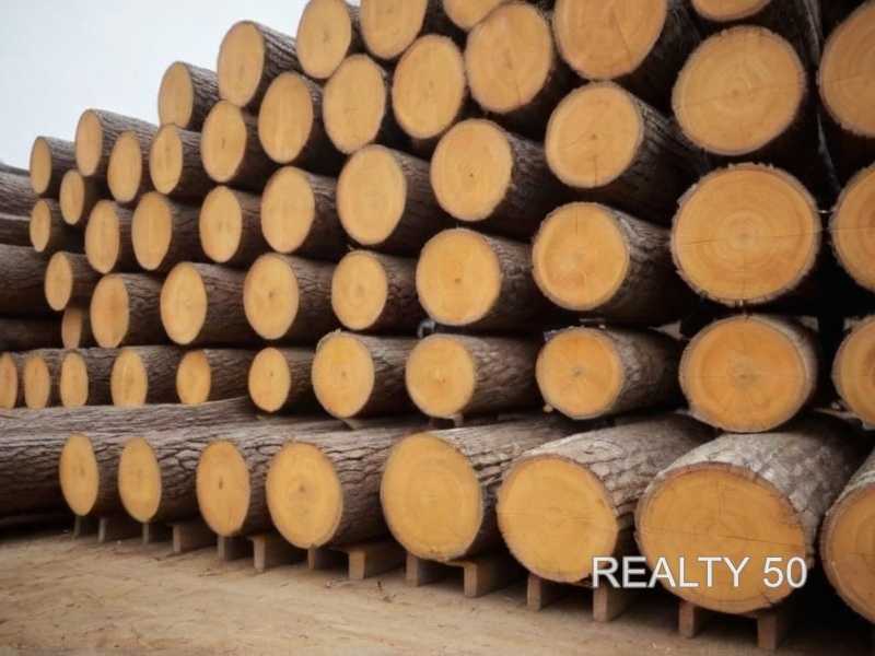 На что обратить внимание при выборе толщины деревянной столешницы