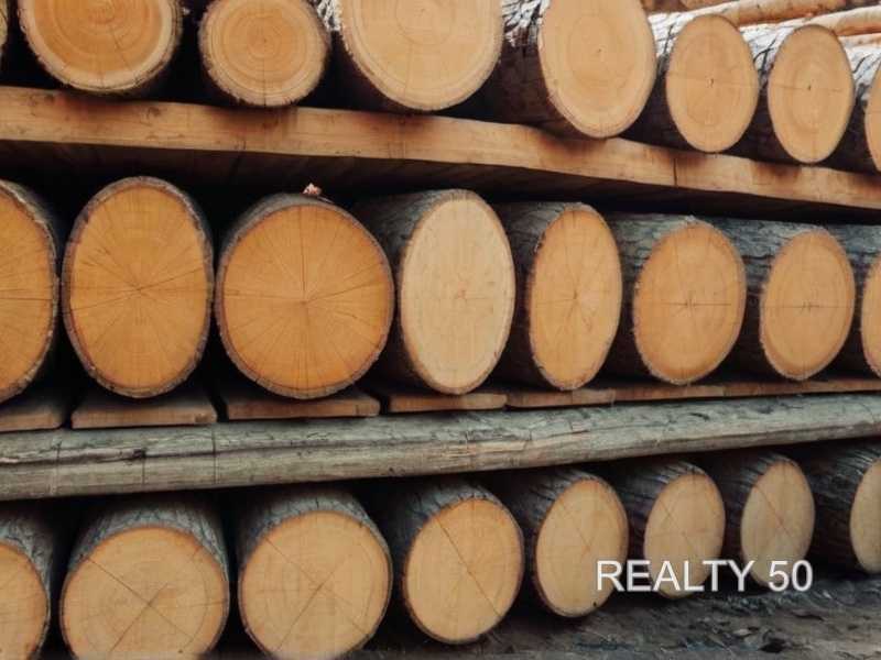 Как определить подходящую твердость древесины для столешницы