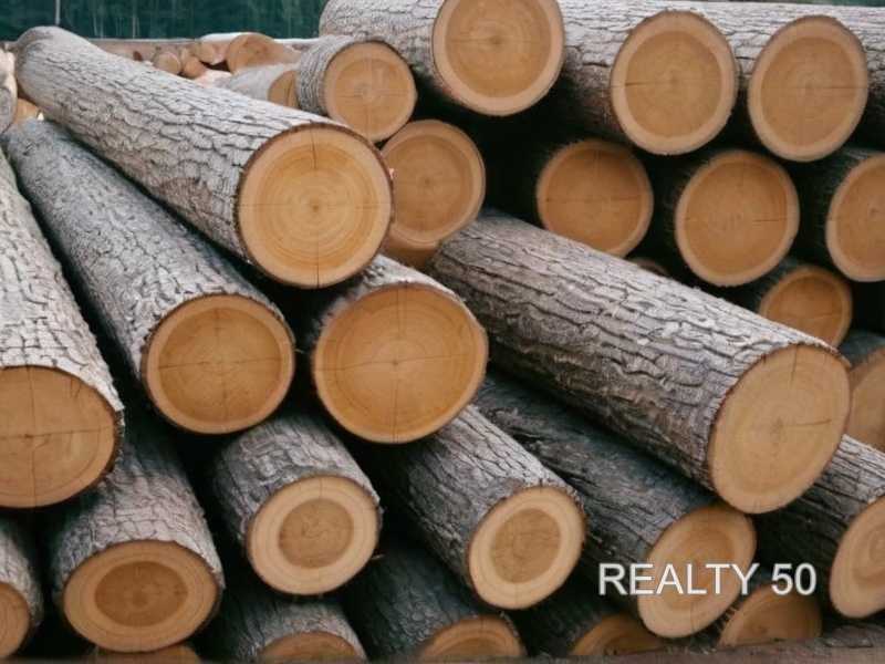 Как определить плотность древесины для прочности мебели