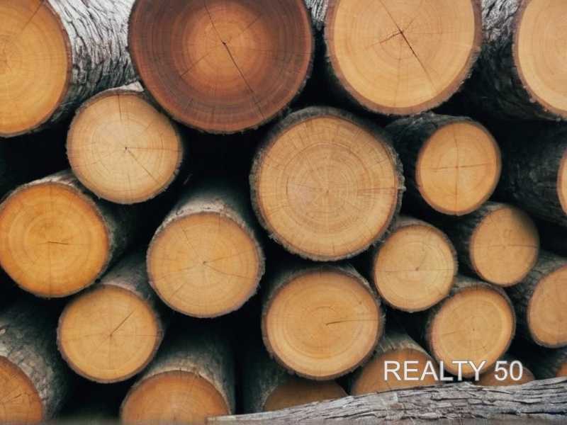 Обработка древесины: виды покрытий и способы создания потертостей
