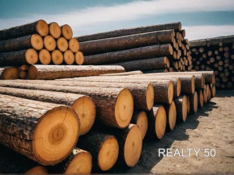 Баланс между стилем и практичностью